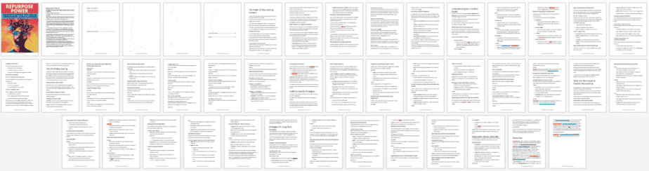 Repurpose Power PLR Lead Magnet Report Screenshot