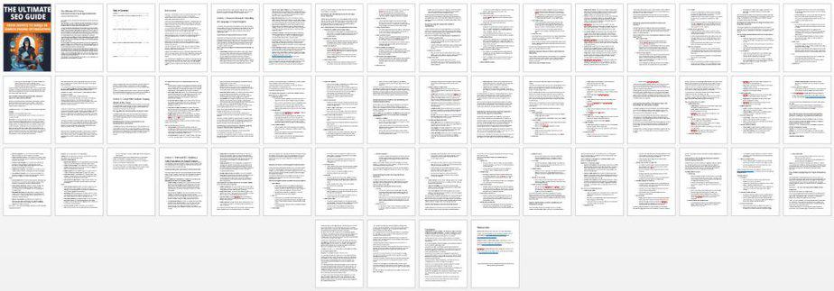 The Ultimate SEO Guide PLR Report Screenshot