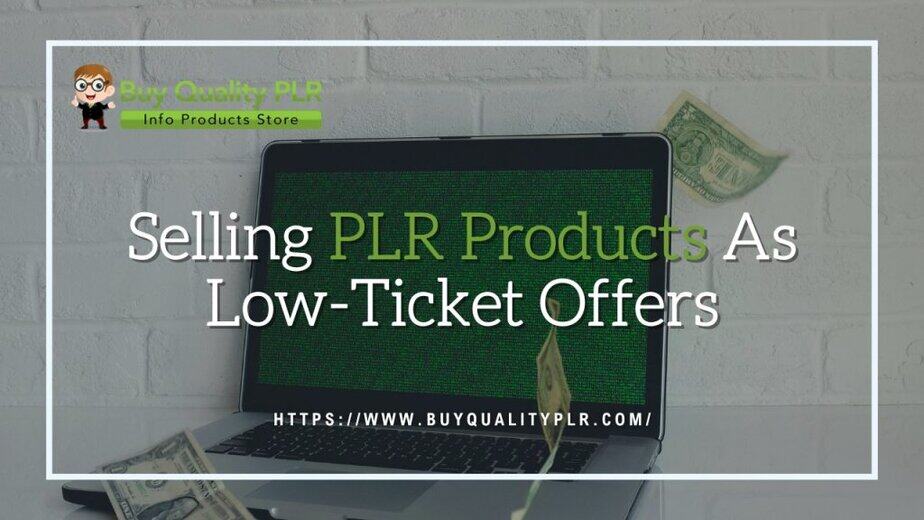 Selling PLR Products As Low Ticket Offers
