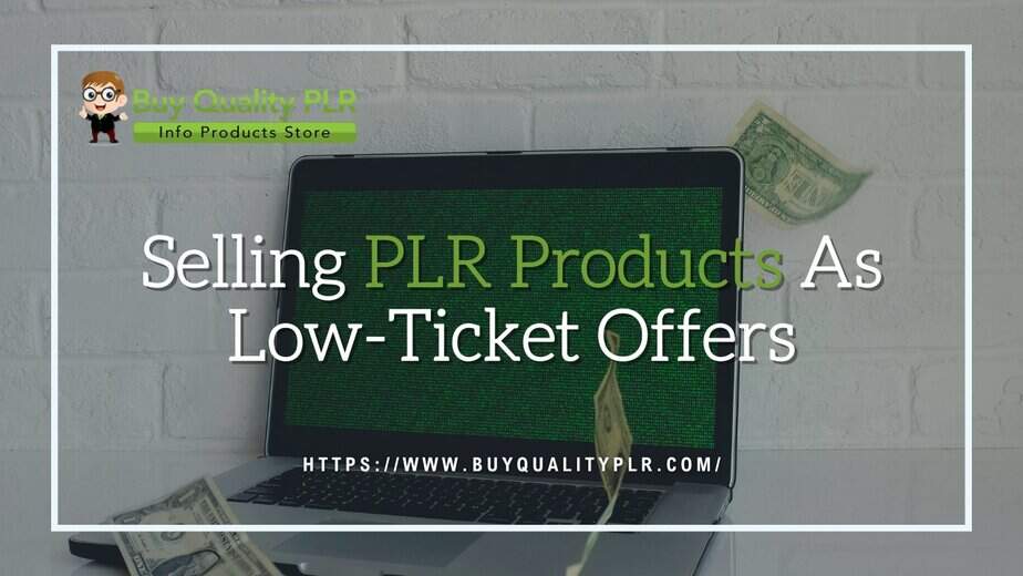 Selling PLR Products As Low Ticket Offers