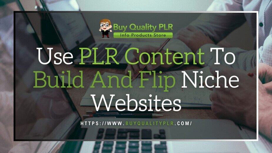Use PLR Content To Build And Flip Niche Websites