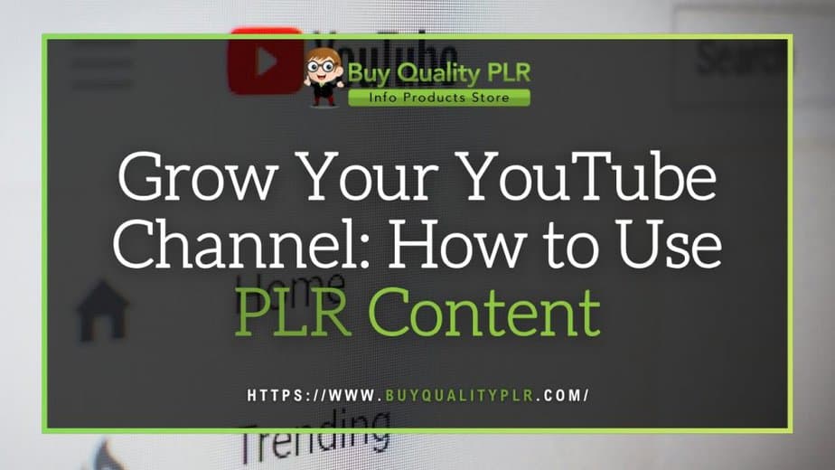 Grow Your YouTube Channel How to Use PLR Content