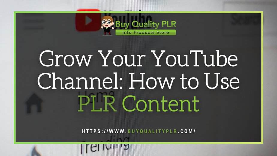 Grow Your YouTube Channel How to Use PLR Content