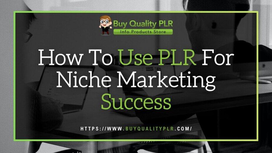 How To Use PLR For Niche Marketing Success