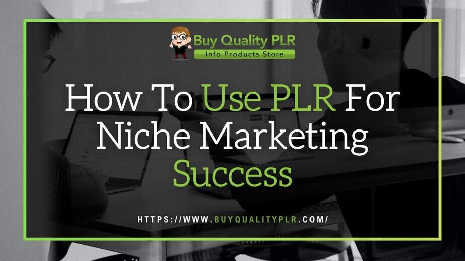 How To Use PLR For Niche Marketing Success