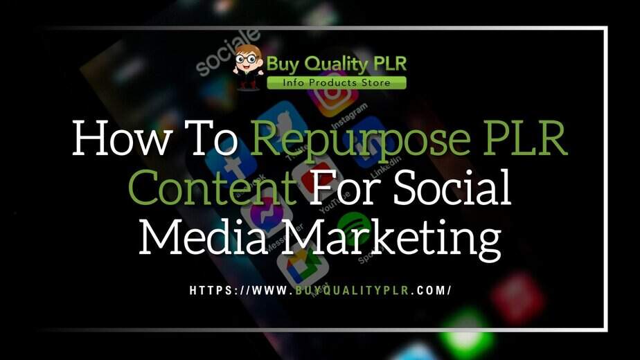 How To Repurpose PLR Content For Social Media Marketing