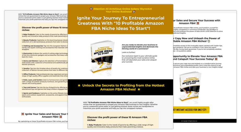 10 Profitable Amazon FBA Niche Ideas To Start Sales Copy