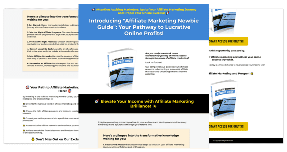 Affiliate Marketing Newbie Guide Sales Copy