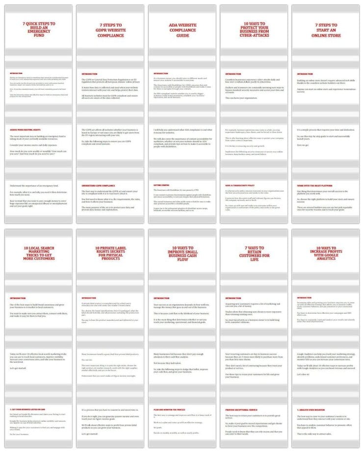 Business Growth and Security Professional Slides