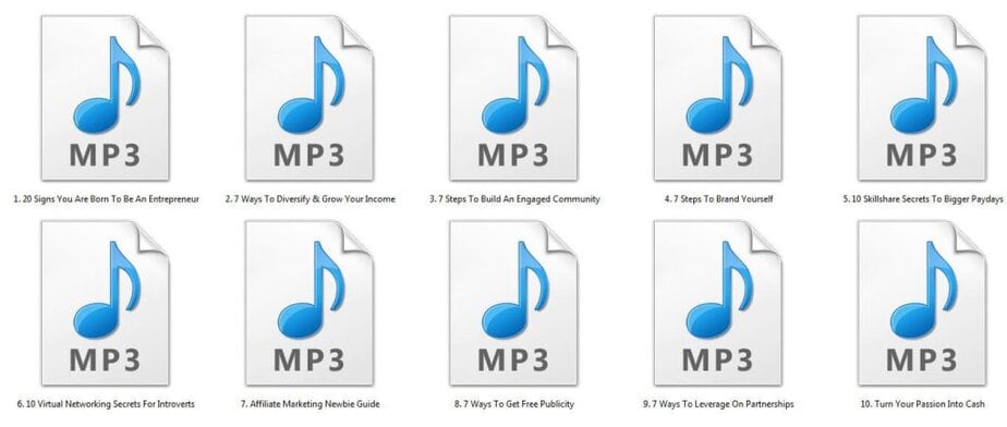 Entrepreneurs Toolkit Mp3 Audio Files