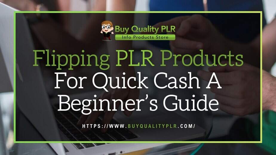 Flipping PLR Products For Quick Cash A Beginner’s Guide