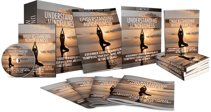 Understanding Mindfullness bundle