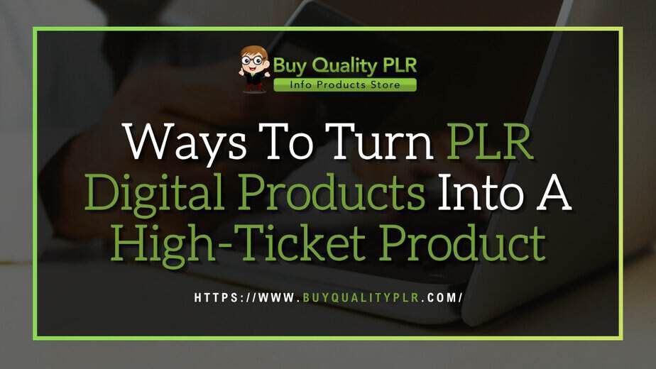 Ways To Turn PLR Digital Products Into A High Ticket Product