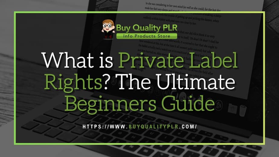 What is Private Label Rights The Ultimate Beginners Guide