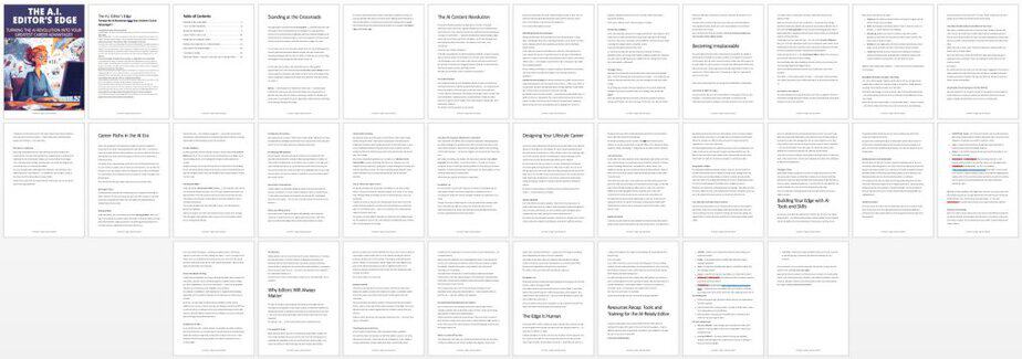 AI Editor PLR Lead Magnet Report