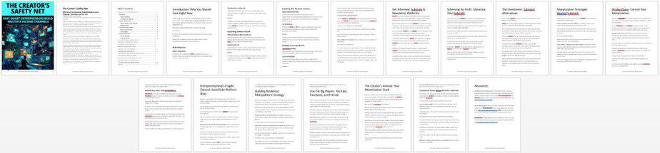 Creators Safety Net PLR Lead Magnet Report