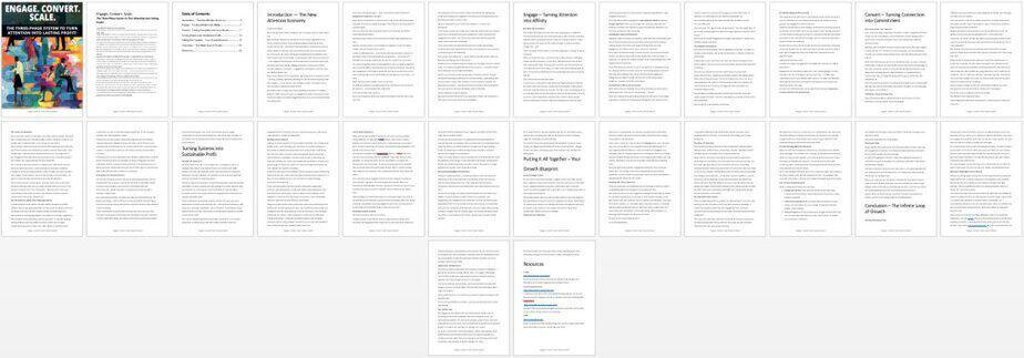 Engage Convert Scale PLR Lead Magnet Report