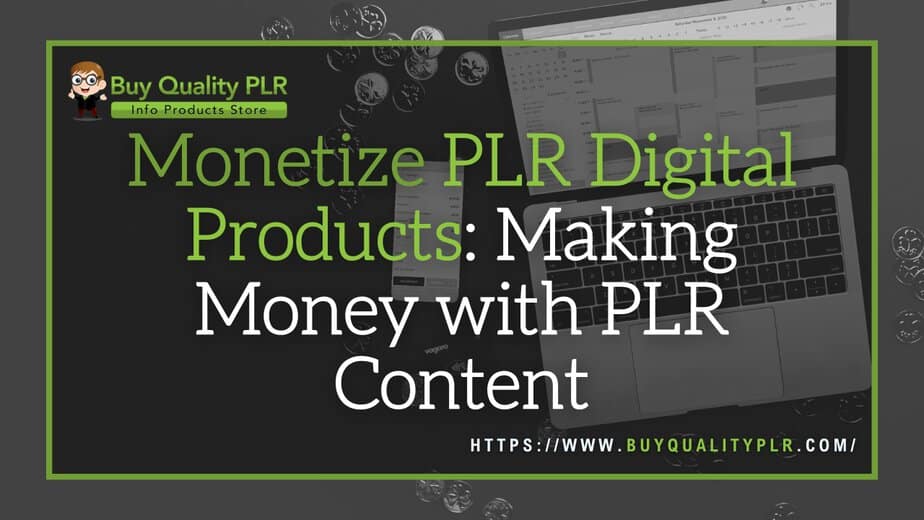 Monetize PLR Digital Products Making Money with PLR Content