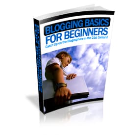 Blogging Basics for Beginners With PLR