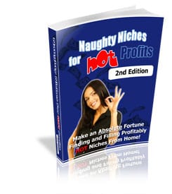 Naughty Niches for Hot Profits with MRR
