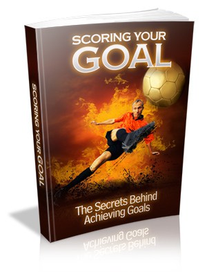 Scoring Your GOAL MRR
