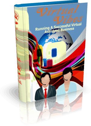 Virtual Vibes MRR