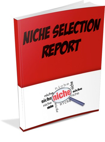 Niche Selection - Report