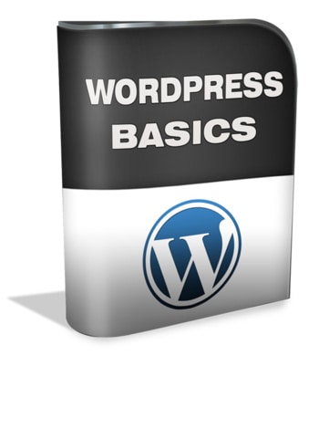 WordPress Basics MRR