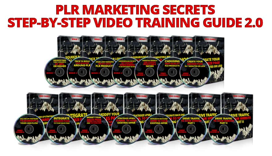 PLR Marketing video Package