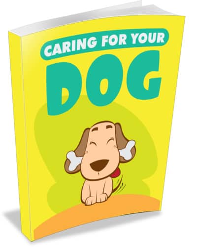 Caring For Your Dog