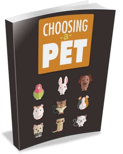 Choosing A Pet