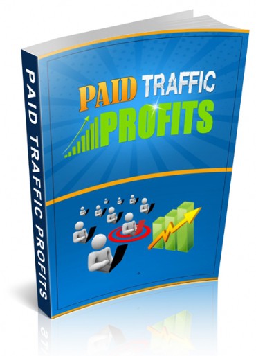Paid Traffic Profits PLR eBook