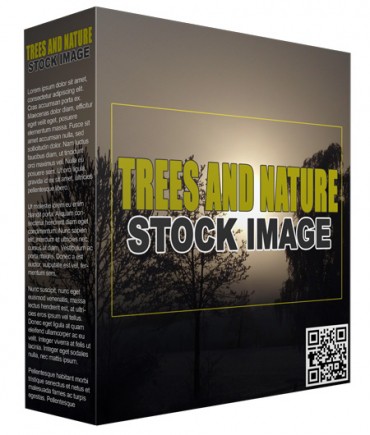 Trees and Nature Stock Images