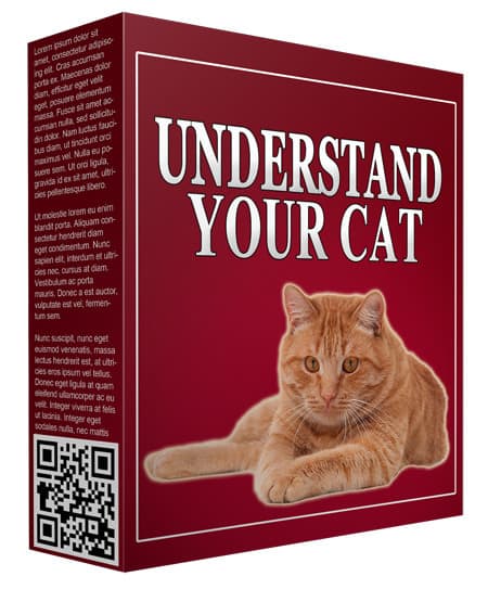Understand Your Cat