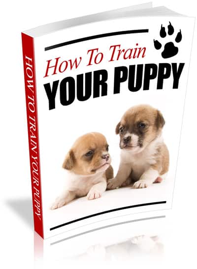 How to Train Your Puppy PLR Ebook