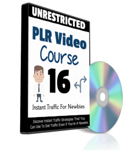 Instant Traffic For Newbies PLR Videos