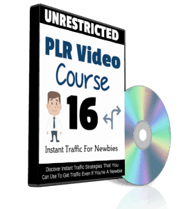 Instant Traffic For Newbies PLR Videos