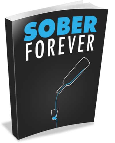 Sober Forever Ebook