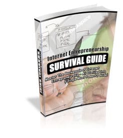 Internet Entrepreneurship Survival Guide PLR eBook