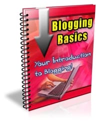 Blogging Basics PLR Newsletter eCourse