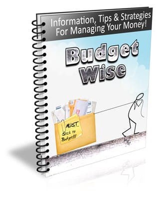 Budget Wise PLR Newsletter eCourse