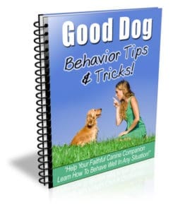 Good Dog Tips and Tricks PLR Newsletter eCourse