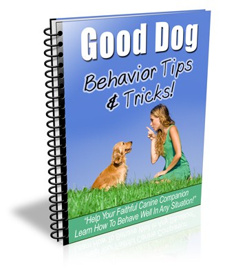 Good Dog Tips and Tricks PLR Newsletter eCourse - Dog PLR Emails