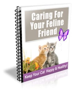 Caring For Your Feline Friend PLR Newsletter eCourse