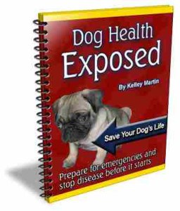 Dog Health Exposed PLR Ebook