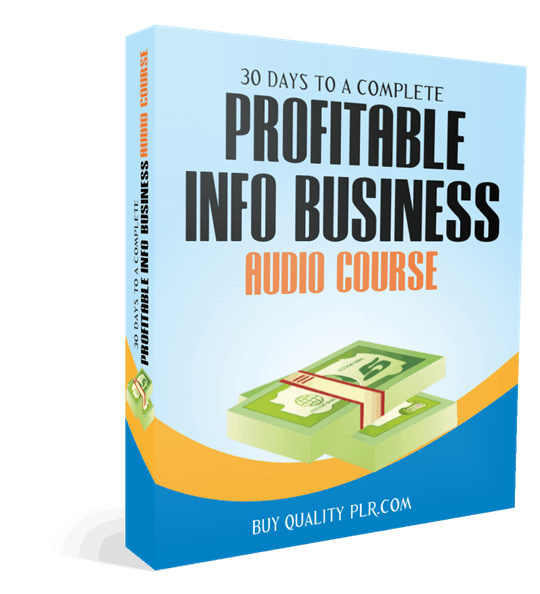 30 Days To A Complete Profitable Info Business Audio Course