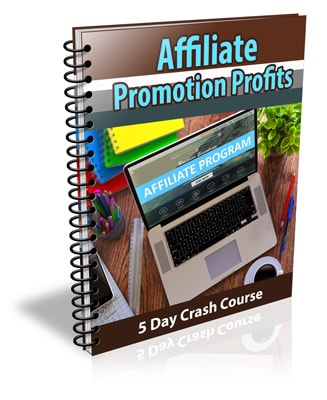 Affiliate Promotion Profits