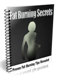 Fat Burning Secrets PLR Book Fat Burning Secrets PLR Book