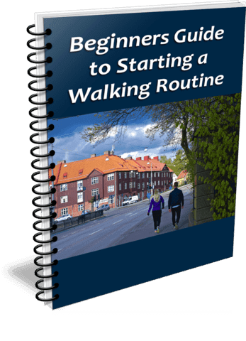 Top Quality Beginners Guide to Walking PLR Report RingBinder