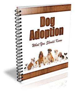 Dog Adoption PLR Newsletter eCourse